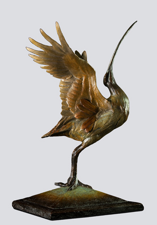 Observing Grace - Curlew  
Bronze on Walnut
28x22x22  : Wildlife Bronze Sculptures : Ken Newman Sculptures | sculpture | bronze | wood | wildlifeart art | figurative sculpture | Idaho sculptor | animal art |
