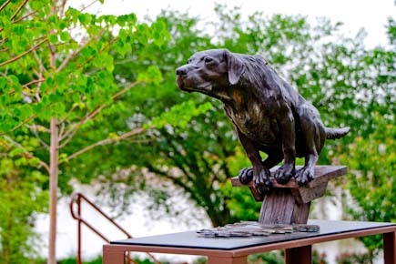 Vogel Schwartz Sculpture Park in Little Rock Arkansas : Public/Private Sculpture Installations : Ken Newman Sculptures | sculpture | bronze | wood | wildlifeart art | figurative sculpture | Idaho sculptor | animal art |
