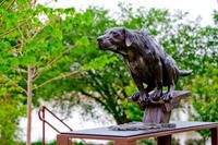 Vogel Schwartz Sculpture Park in Little Rock Arkansas - © Ken Newman Sculptures 2026