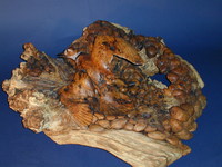 The Ploy - Killdeer Black Oak Burl - © Ken Newman Sculptures 2026