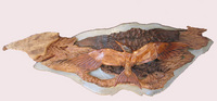 Four Terns - Madrone on Steel - © Ken Newman Sculptures 2026