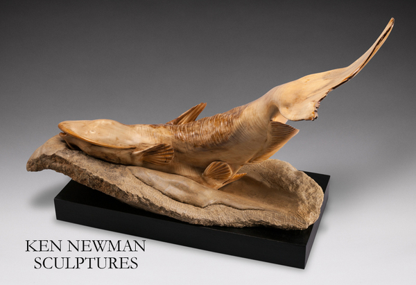 Catfish - Cottonwood on Limestone 2014
 : Small Selection of Sold Sculptures : Ken Newman Sculptures | sculpture | bronze | wood | wildlifeart art | figurative sculpture | Idaho sculptor | animal art |