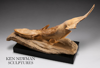 Catfish - Cottonwood on Limestone 2014
 - © Ken Newman Sculptures 2026