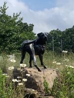Taking Attendance, Roundabout in Little Rock AR - © Ken Newman Sculptures 2026