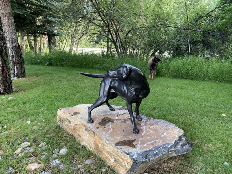 Sculpture Park  - Hailey Idaho 2020
Taking Attendance
 : Small Selection of Sold Sculptures : Ken Newman Sculptures | sculpture | bronze | wood | wildlifeart art | figurative sculpture | Idaho sculptor | animal art |